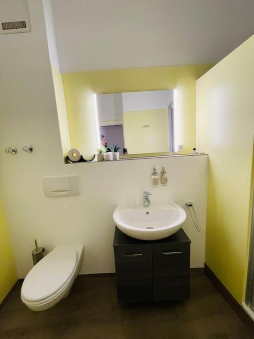 Fewo 20 - Appartement Im Rottalblick - Youngmodern Wohnen, Tiere Willkommen, Bademantelgang Zur Therme, Tv Und Balkon Bad Griesbach Kültér fotó